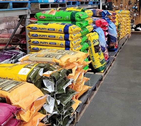 Animal Feed & Nutrition